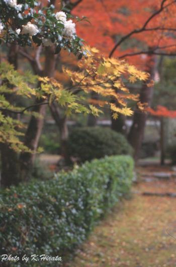 4820-07.jpg (30001 oCg)