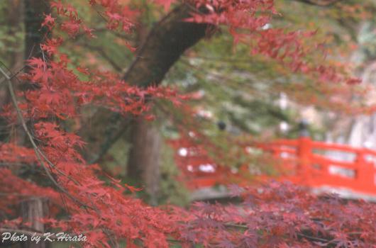 4820-30.jpg (28557 oCg)