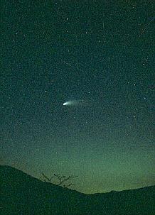 halebopp.jpg (14679 oCg)