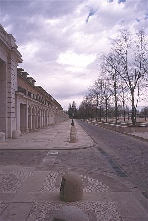 sp101.jpg (26328 oCg)