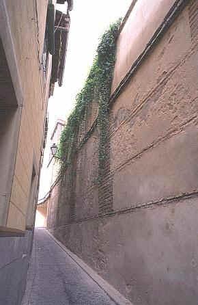 sp213.jpg (28031 oCg)