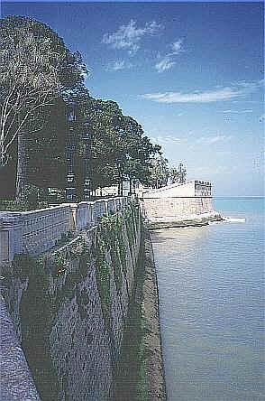 sp301.jpg (45754 oCg)