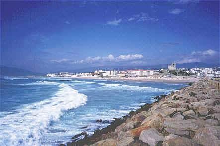 sp311.jpg (28722 oCg)