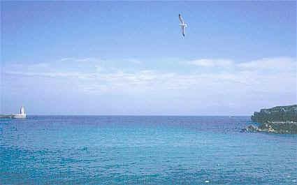 sp322.jpg (17168 oCg)