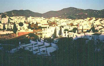 sp404.jpg (37529 oCg)