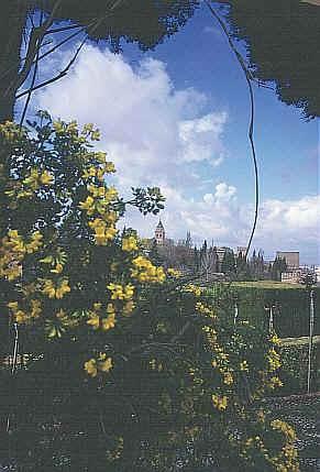 sp517.jpg (36968 oCg)