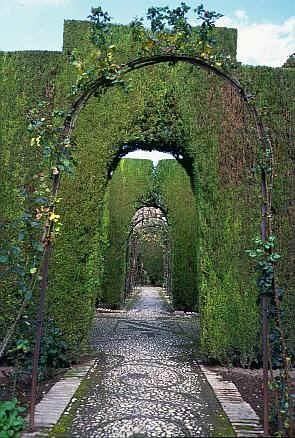 sp523.jpg (50342 oCg)