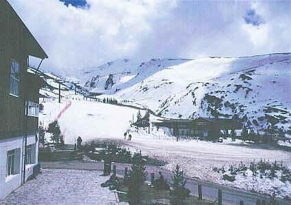 sp603.jpg (33595 バイト)