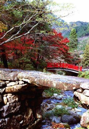 taineiaki7.jpg (43870 oCg)