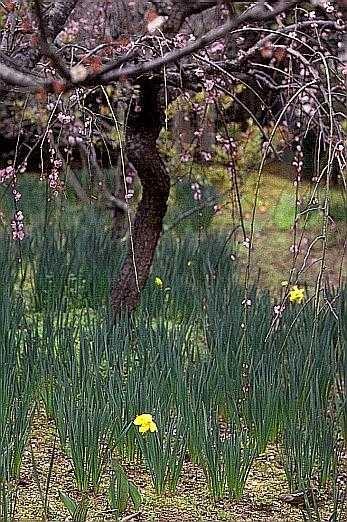 togyo-4.jpg (53764 oCg)