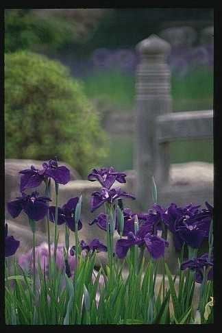 togyo01.jpg (16940 oCg)