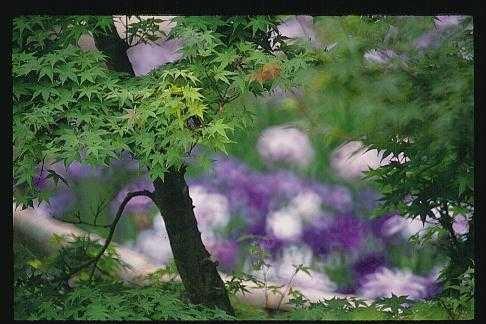 togyo02.jpg (26451 oCg)