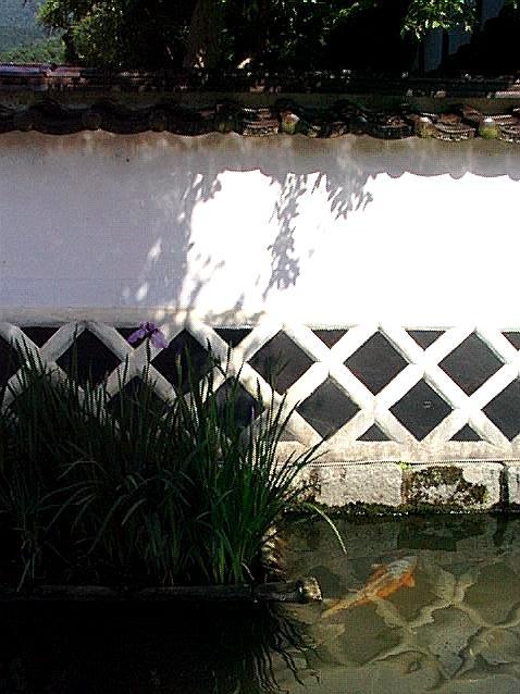 tuwanosh1.jpg (60174 oCg)