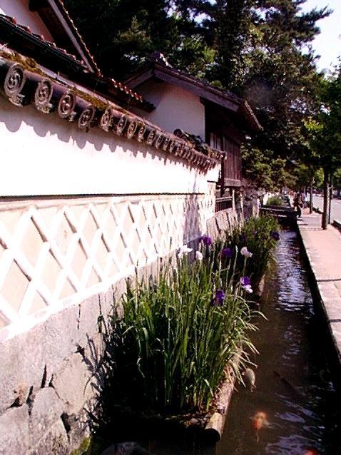 tuwash2.jpg (74290 oCg)