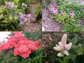 ����`�V�}�t�E���A�E�ト�c�o�V�I�K�}�A���������Q�c�c�W�A�E���R�o�C�P�C�\�E