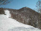 �䌎�R���֑�����̔���