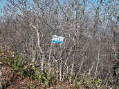 �R���̕W��