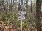 �Ń��X����̓��W