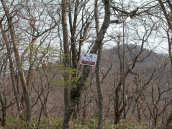 �Ń��X����