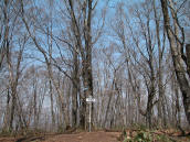 �ԗюR����