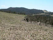 �唫�X�R�֌��������ѓ���茩���m���R