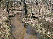 �唫�X�R�֌������r���̑�