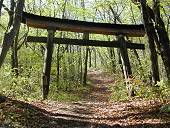 �o�R���̒���