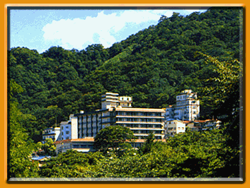 Y猩݌ق̑Si