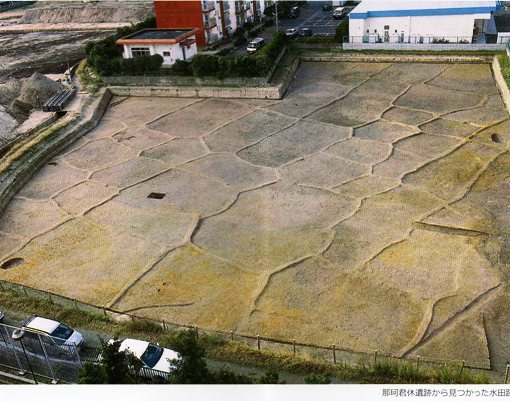 2、那珂君休遺跡/稲作伝来第二幕・弥生中後期(平成28年度唐津の歴史文化規格)より抜粋