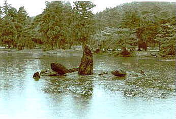 �ʐ^�B�e�P�X�V�O�@�e�@���v