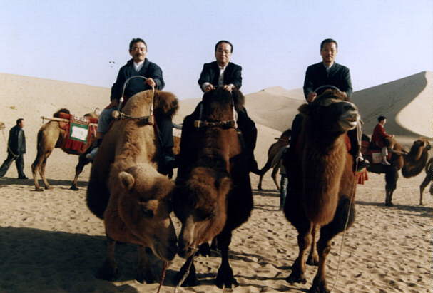 ���Îs�c�i���j�E�v�g�s�c�i���j�E�V���s�c�i�E�j�`����ԁA���͓����ɂ��� 