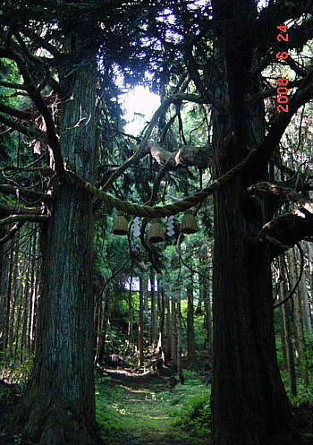 008.6 ���K�ЎB�e�e���v