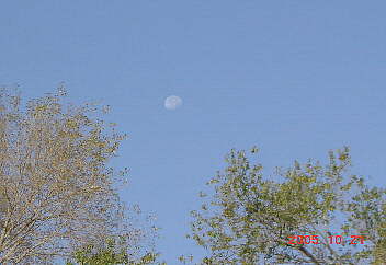 �P�D���ݐ؂�����ƌ��i�����A�j