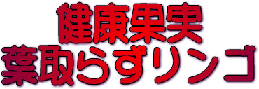 健康果実 葉取らずリンゴ