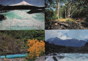 �v�G���g�E����