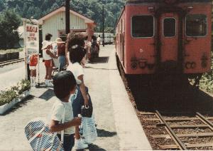 �n�������w