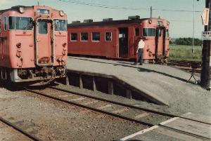 ���Ўq�{�w