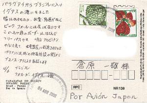 �C�O�A�X�̑�