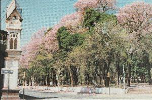 �A�X���V�I��