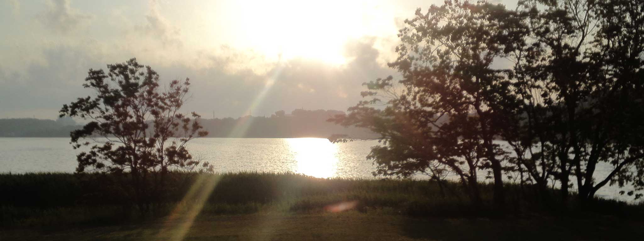 佐鳴湖の夜明け