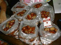 �o�ׂł������c�B