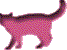 cat_i1.gif