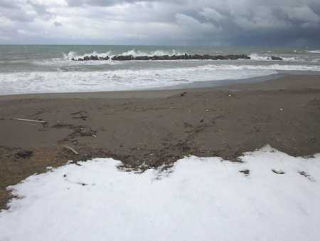 �Q�O�P�P�N�P���P���̎ʐ^��