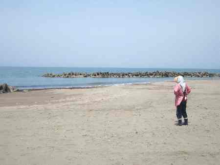 �Q�O�P�P�N�T���U���̎ʐ^��