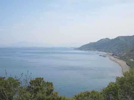 �Q�O�P�P�N�T���V���̎ʐ^��