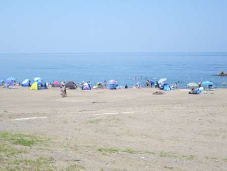 �Q�O�P�P�N�V���P�V���̎ʐ^��