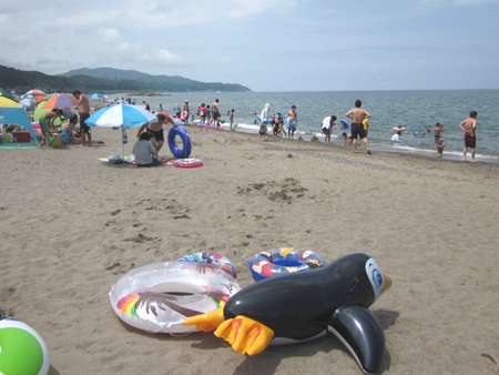 �Q�O�P�P�N�V���R�P���̎ʐ^��