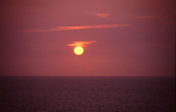 �����m�ɒ��ޗ[��