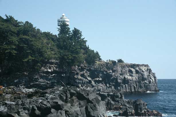 ��P��C�ݎU��R�[�X�̌i�F