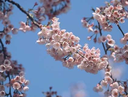 �ɓ������w�O�̍�